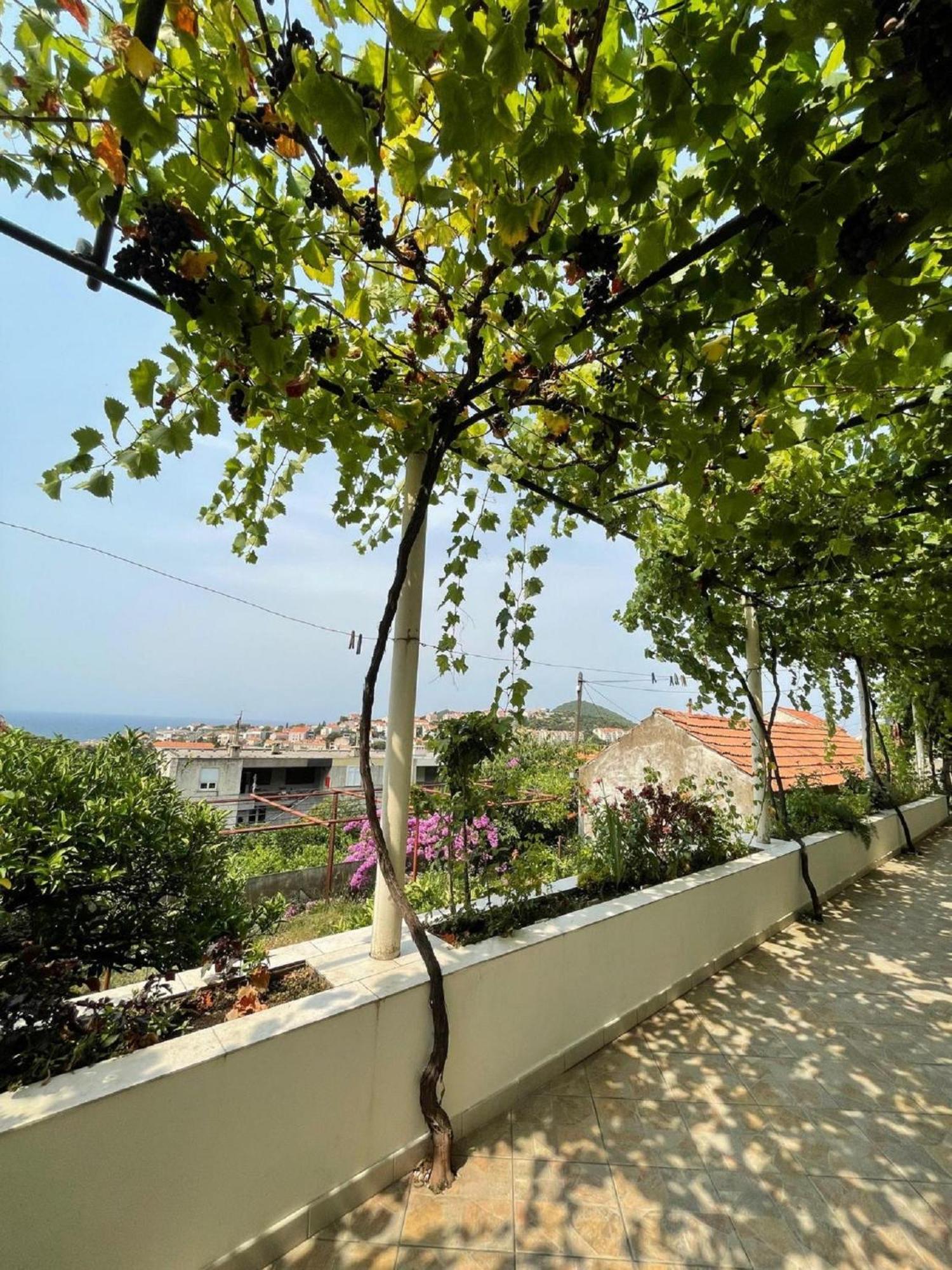 Guest House Luce Dubrovnik Dış mekan fotoğraf